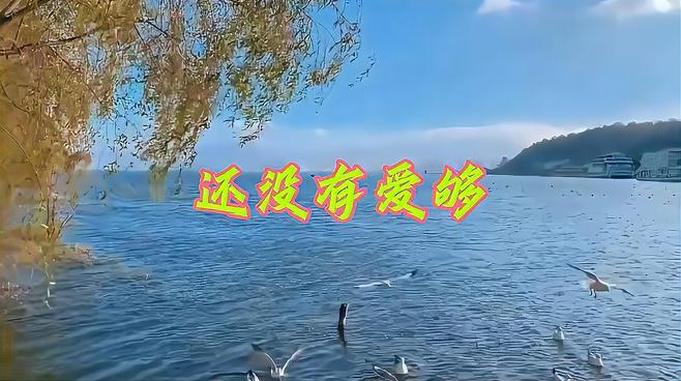 音乐视频《还没有爱够》-王馨-请捎去我的祝福还有问候