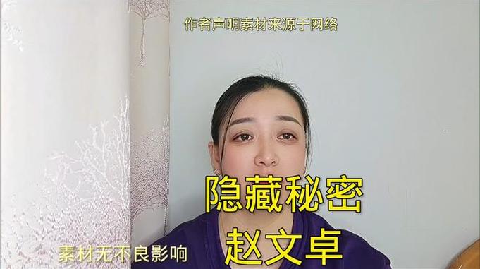 隐藏的秘密赵文卓