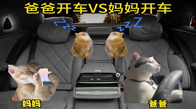 爸爸开车和妈妈开车的区别 猫meme 内容过于真实